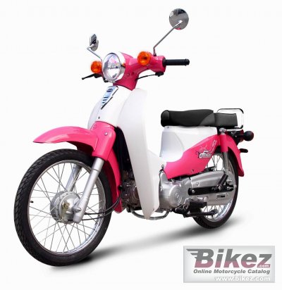 2012 Tiger Future 110 photo